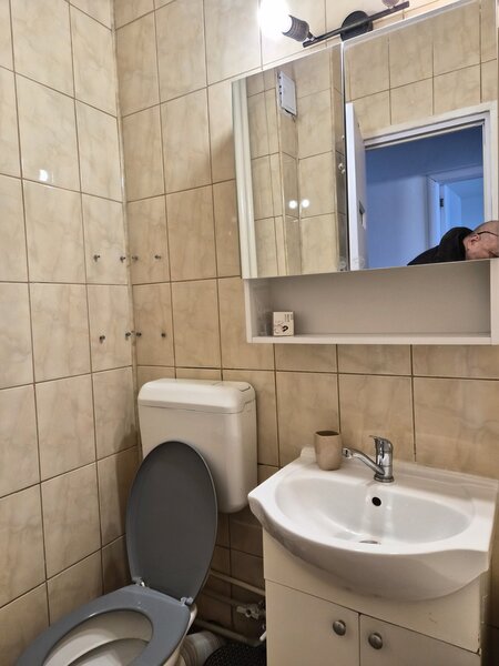 Berceni, Emil Racovita